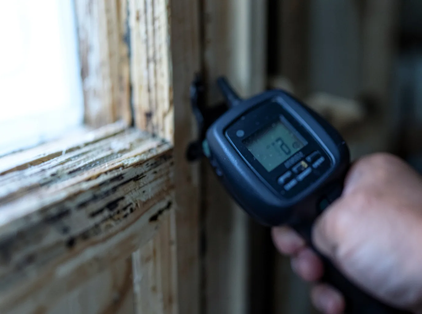 Ceiling Water Damage Repair in Williamsburg, KY